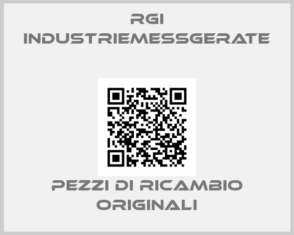 RGI Industriemessgerate