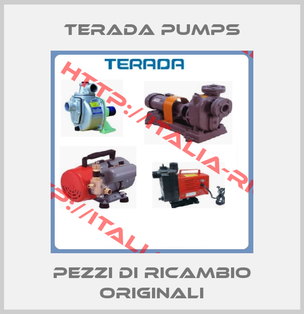 Terada Pumps