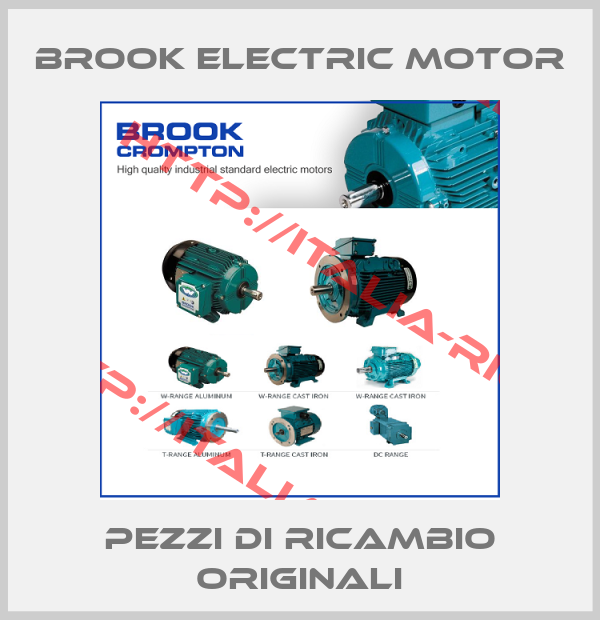 Brook Electric motor