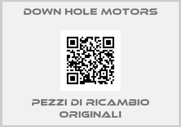 Down Hole Motors