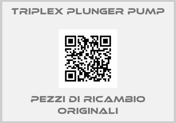Triplex Plunger Pump