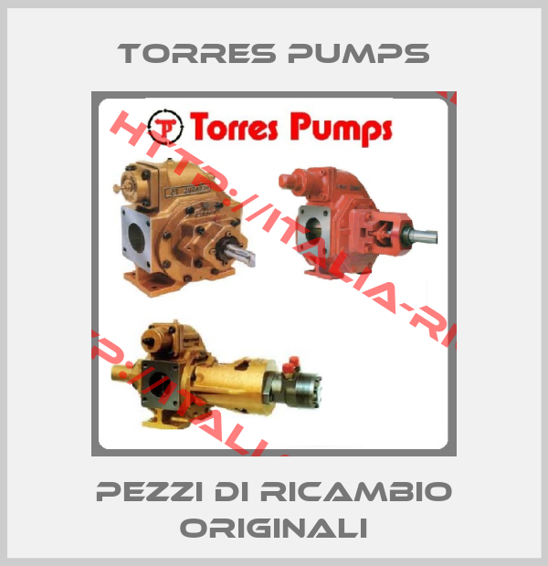 Torres Pumps