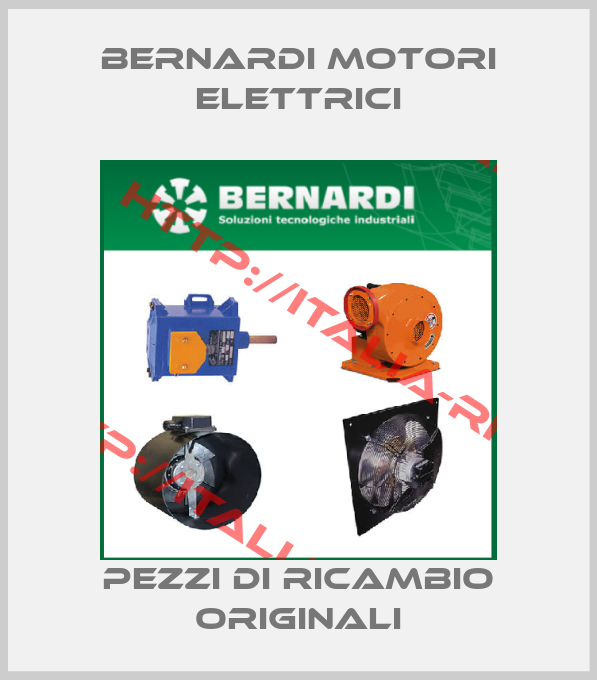 Bernardi Motori Elettrici