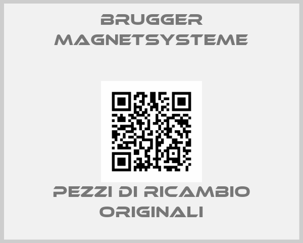 BRUGGER MAGNETSYSTEME