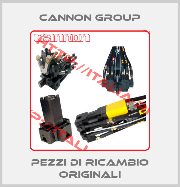 CANNON GROUP