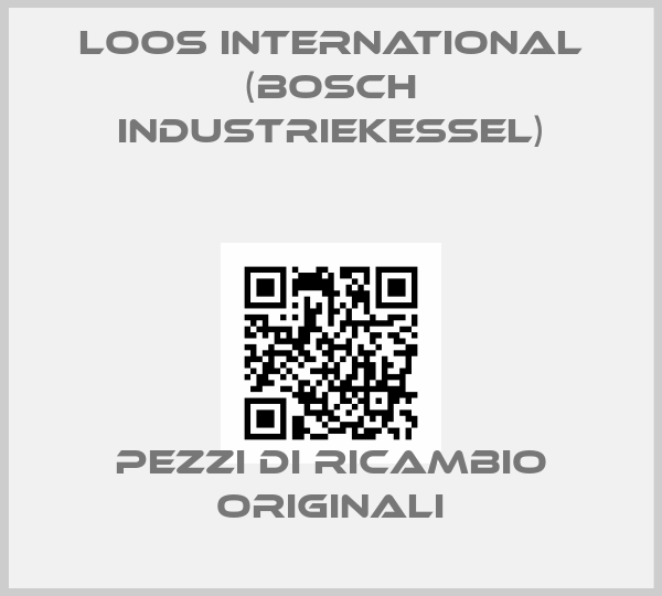 Loos International (Bosch Industriekessel)