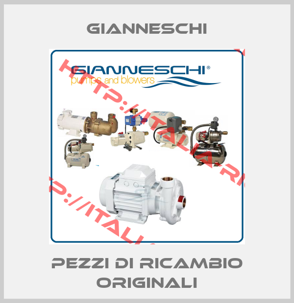 Gianneschi