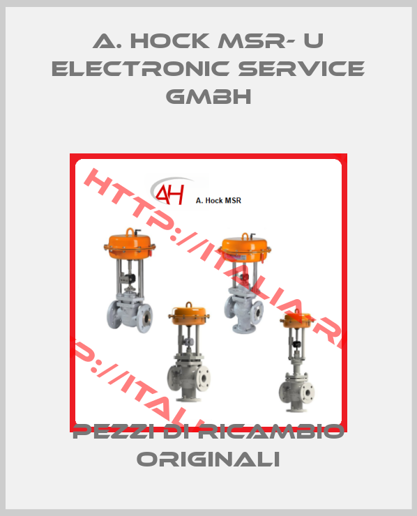 A. Hock MSR- u Electronic Service GmbH