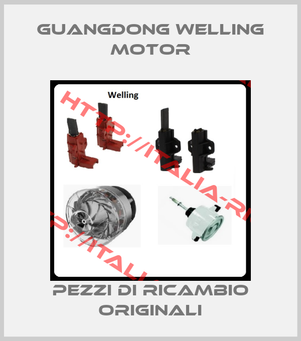 Guangdong Welling Motor