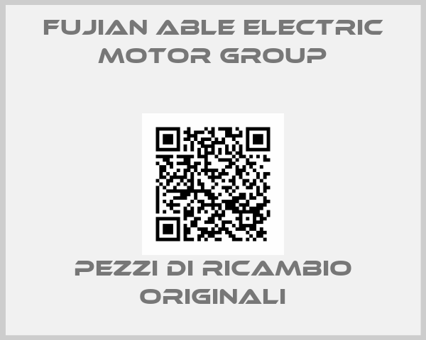 Fujian Able Electric Motor Group
