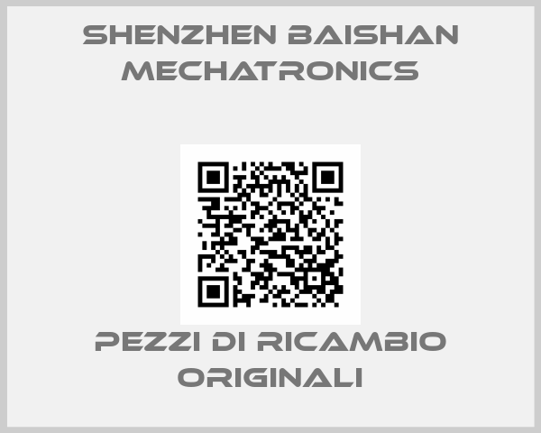 Shenzhen Baishan Mechatronics