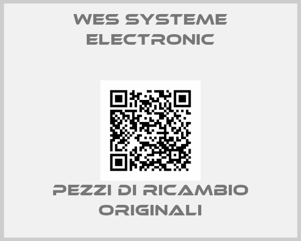WES Systeme Electronic