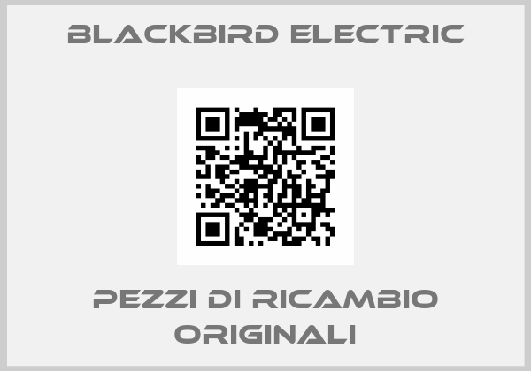 Blackbird Electric