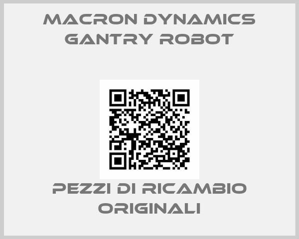 Macron Dynamics Gantry robot