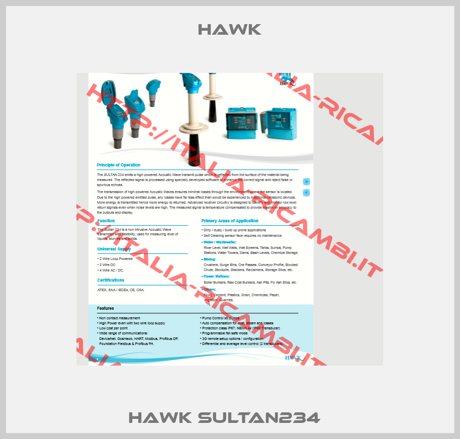 HAWK SULTAN234  -1