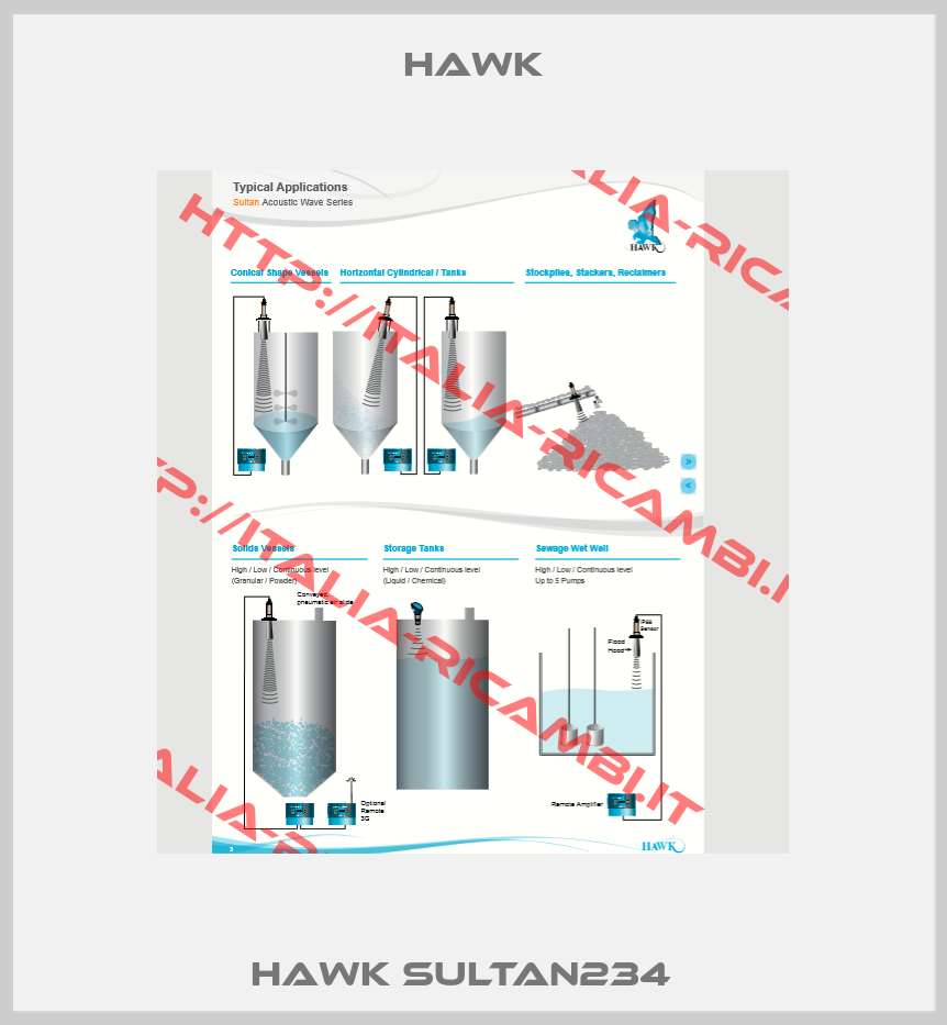 HAWK SULTAN234  -2