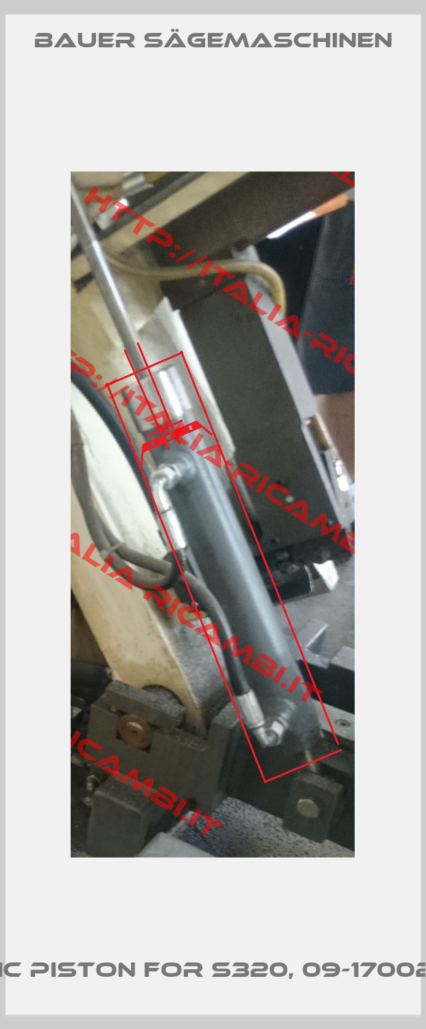 Hydraulic piston for S320, 09-17002/ 1.1/1.4kw -0
