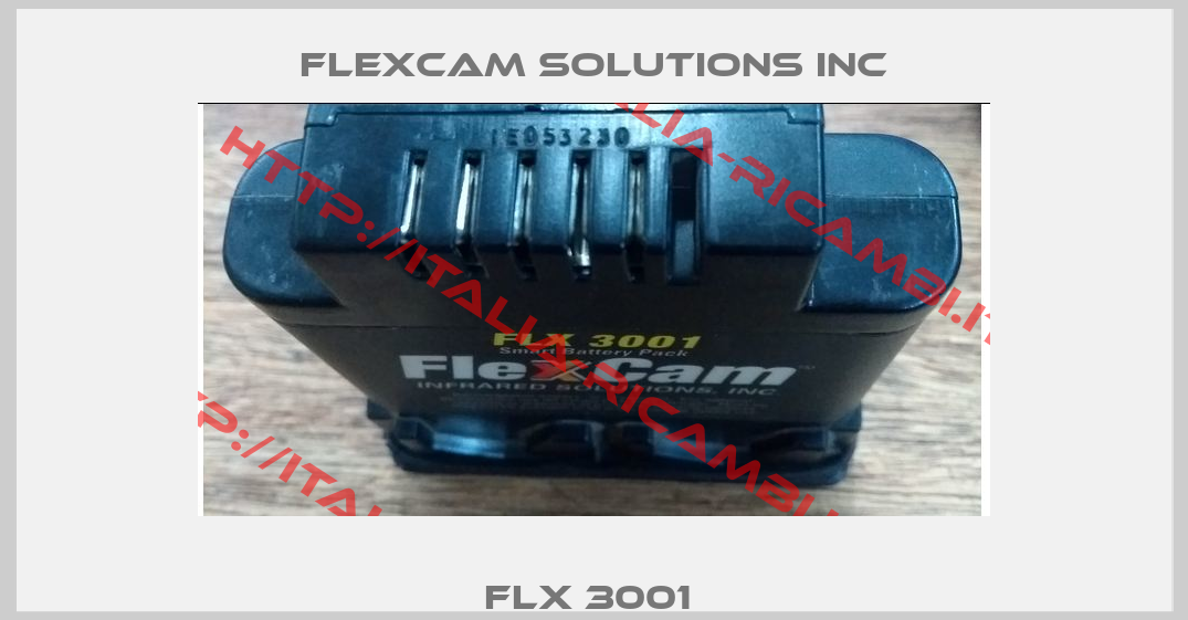 FLX 3001 -1