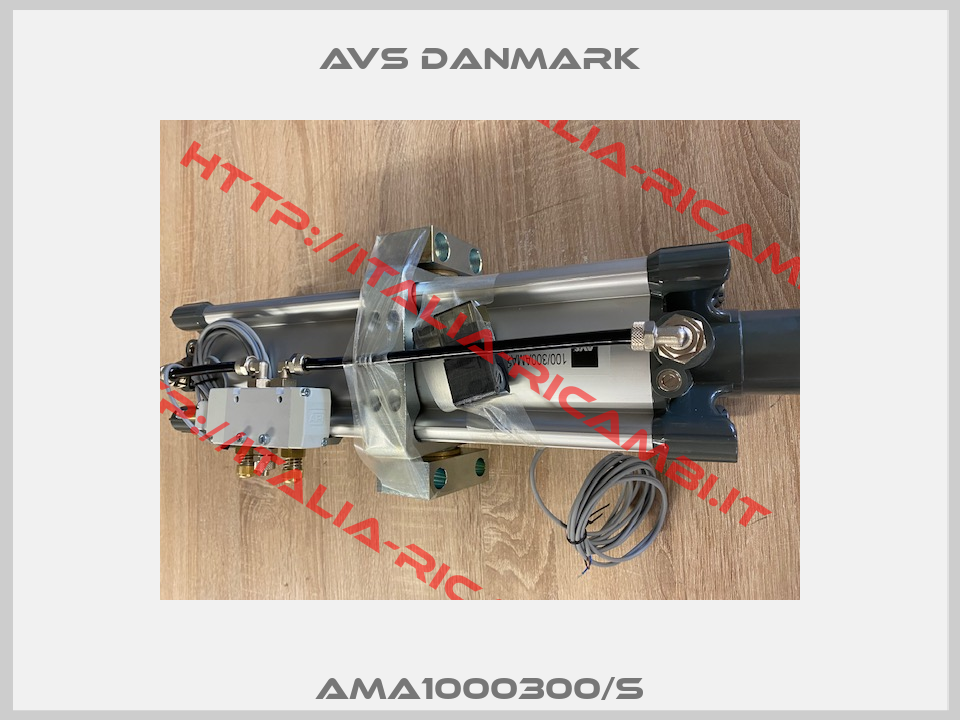 AMA1000300/S-1