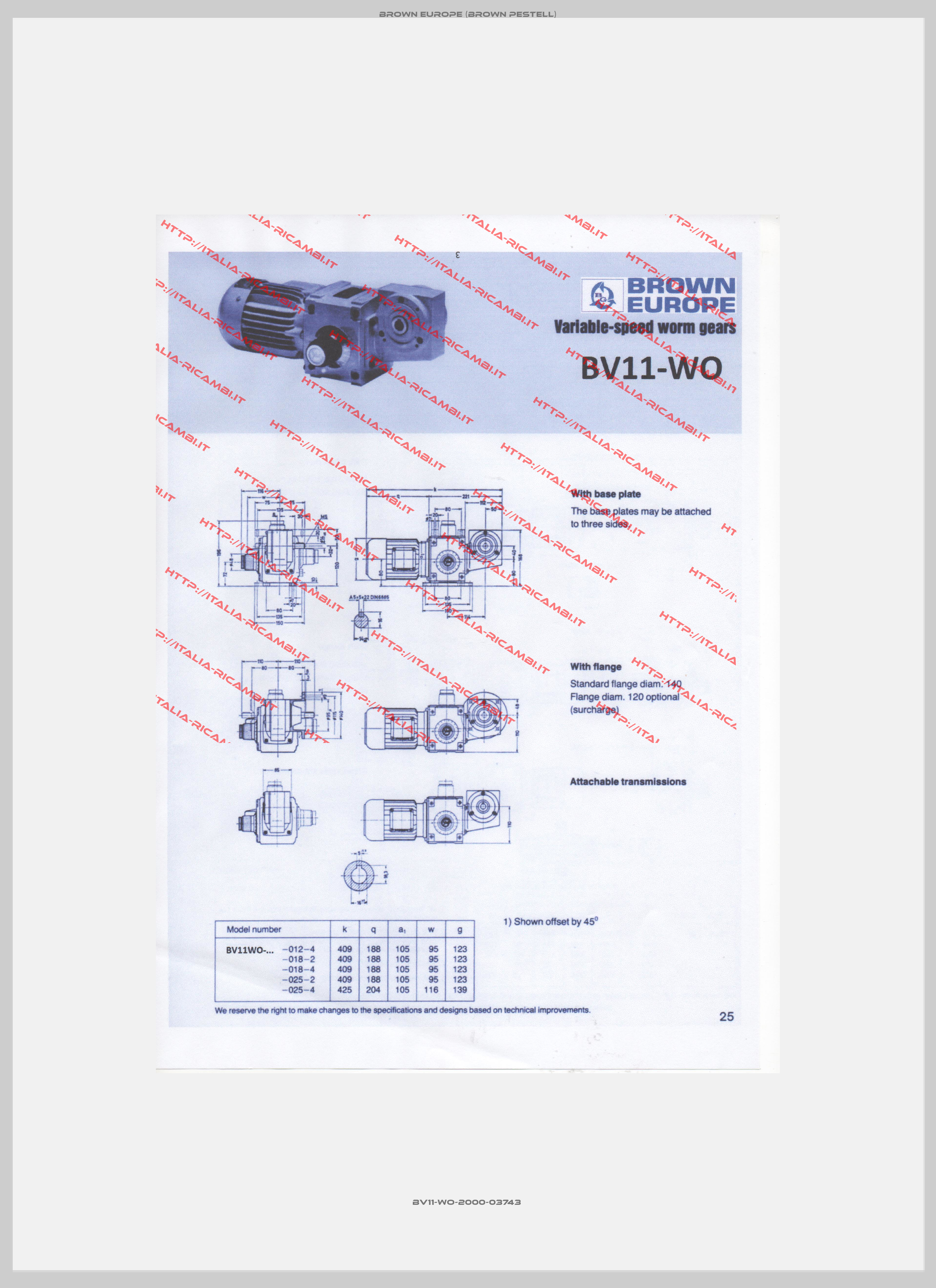 BV11-WO-2000-03743 -1
