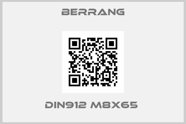 Berrang-DIN912 M8x65 
