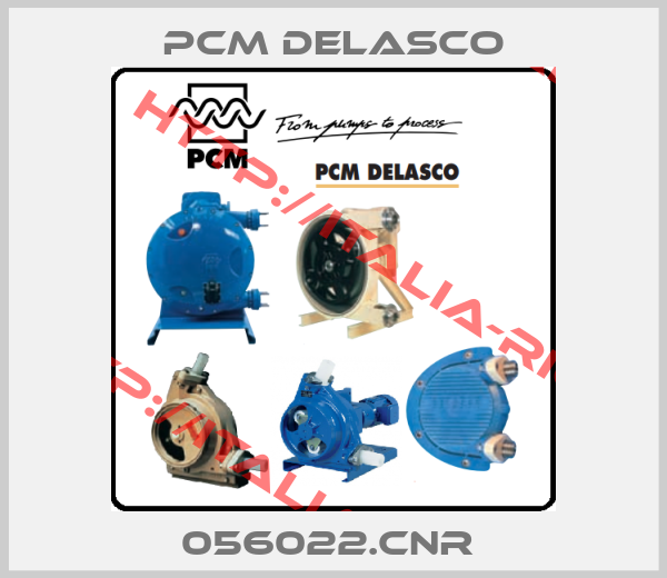 PCM delasco-056022.CNR 