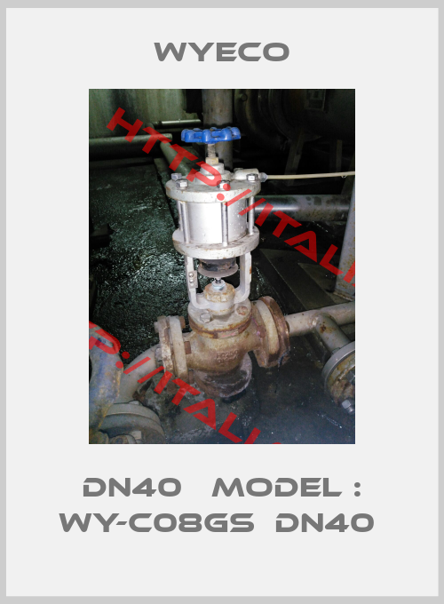 Wyeco-DN40   Model : WY-C08GS  DN40 