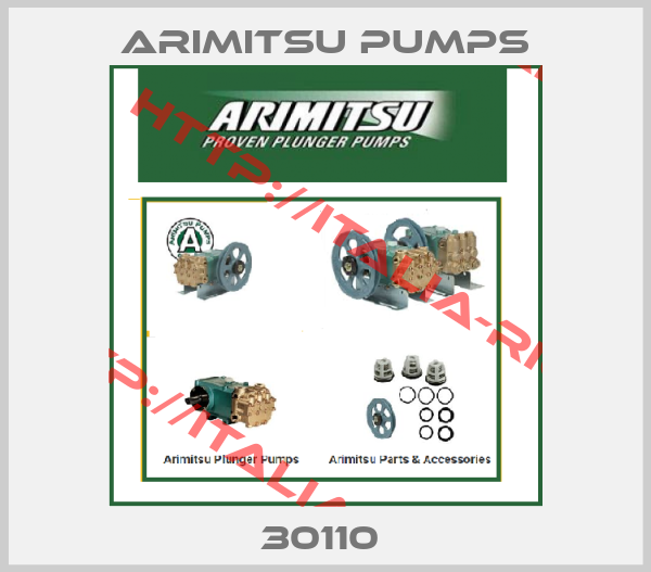 Arimitsu Pumps-30110 