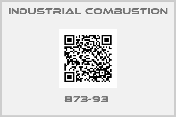 Industrial Combustion-873-93 