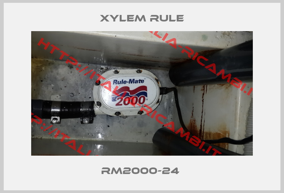 Xylem Rule-RM2000-24 