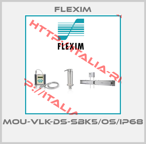 Flexim-MOU-VLK-DS-SBK5/OS/IP68 