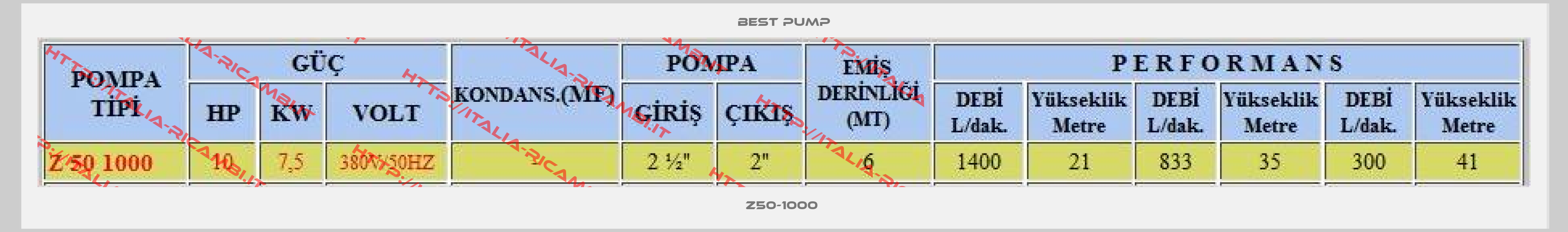 Best Pump-Z50-1000 