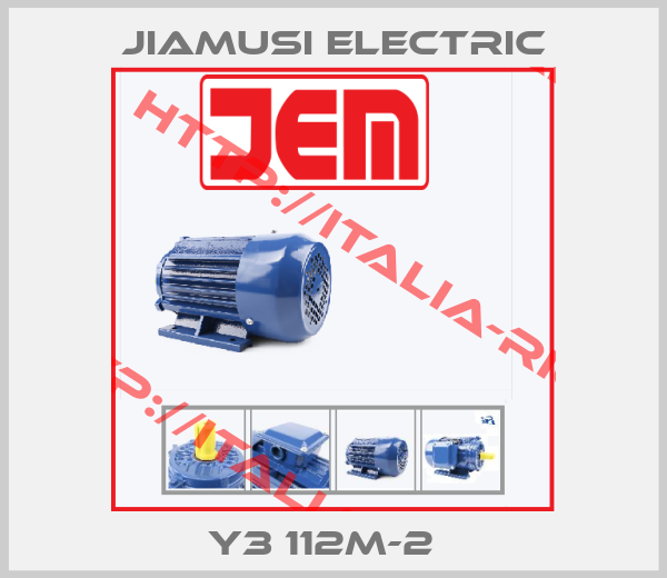 Jiamusi Electric-Y3 112M-2  
