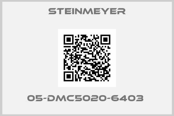 Steinmeyer-05-DMC5020-6403 