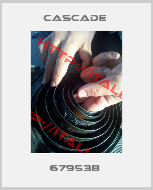 CASCADE -679538 