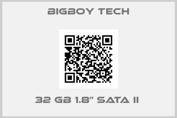 Bigboy Tech-32 GB 1.8” SATA II 
