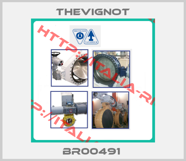 THEVIGNOT-BR00491 