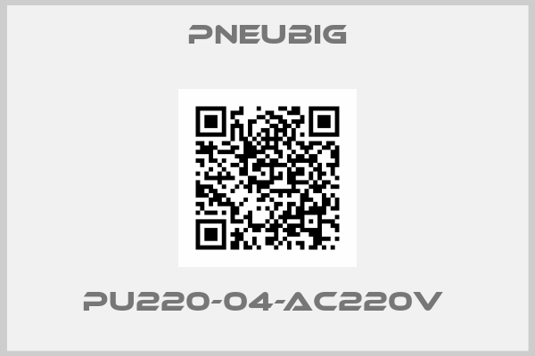 Pneubig- PU220-04-AC220V 