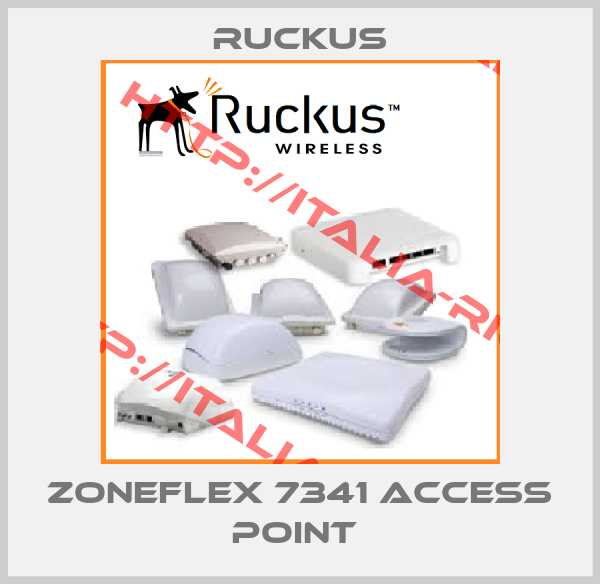 Ruckus-ZoneFlex 7341 ACCESS POINT 