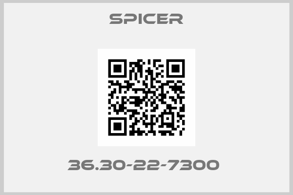 Spicer-36.30-22-7300 