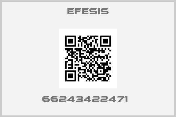 EFESIS-66243422471  