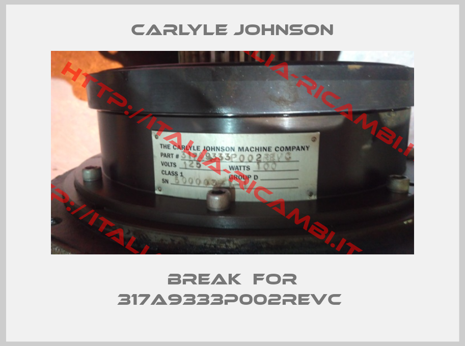 Carlyle Johnson-Break  for 317A9333P002REVC 