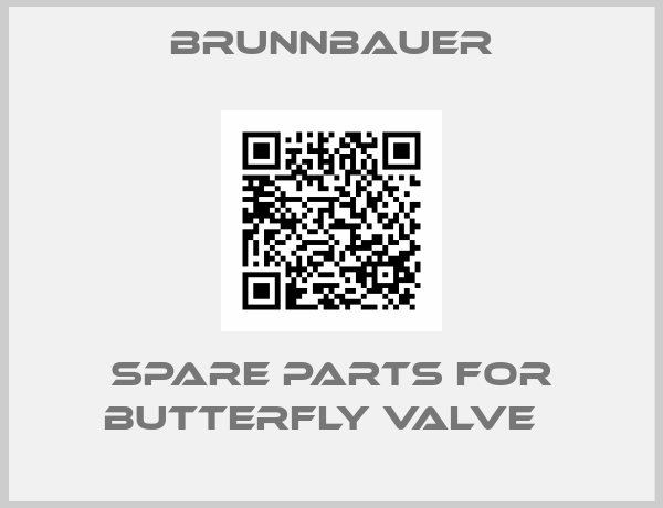 Brunnbauer-Spare parts for Butterfly valve  