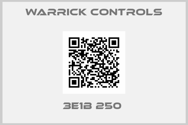 Warrick Controls-3E1B 250 