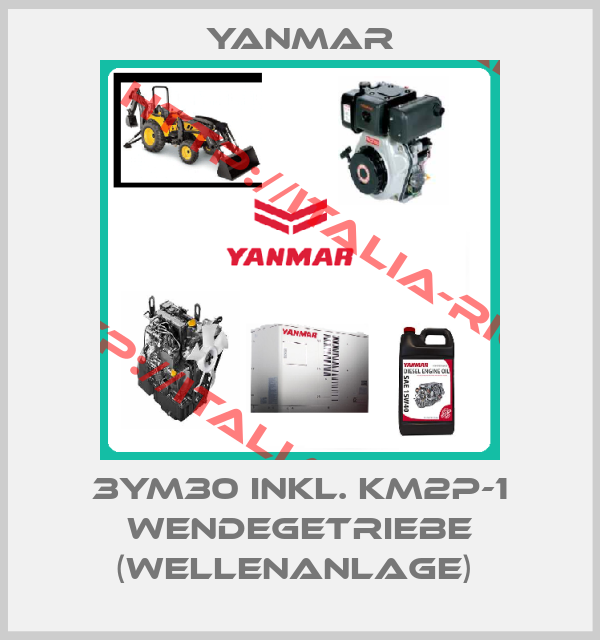 Yanmar-3YM30 INKL. KM2P-1 WENDEGETRIEBE (WELLENANLAGE) 