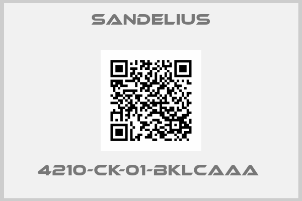 Sandelius-4210-CK-01-BKLCAAA 