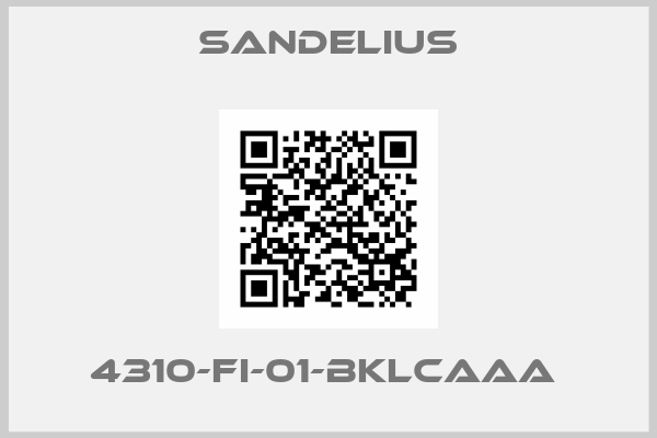 Sandelius-4310-FI-01-BKLCAAA 