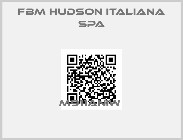 FBM Hudson Italiana SpA-M911ANIW 