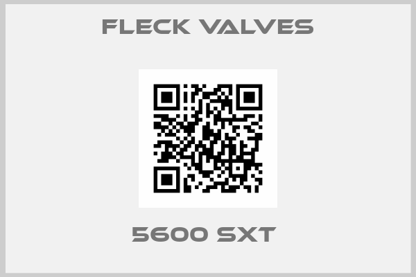 Fleck Valves-5600 sxt 