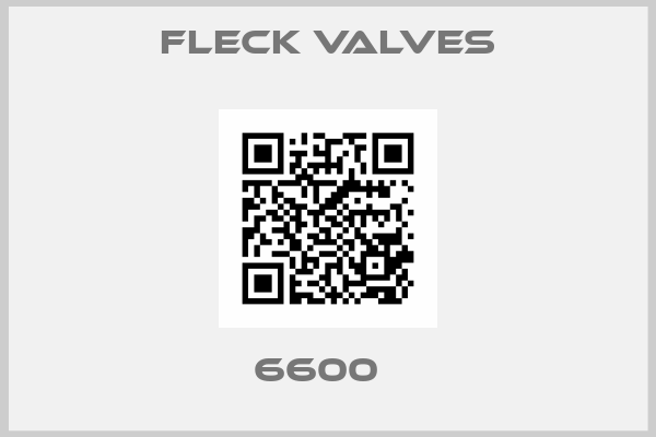 Fleck Valves-6600  